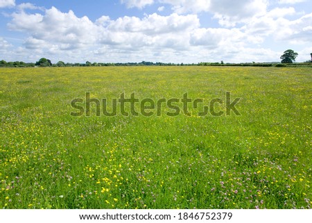 Similar – Foto Bild grüne Weite Sommer