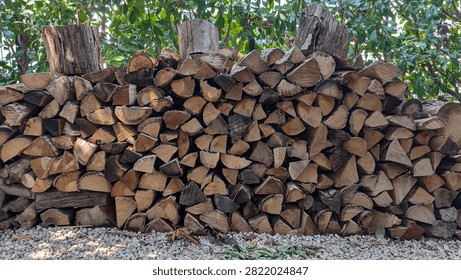 A wide view of a large stack of chopped firewood arranged neatly against a green hedge, with gravel ground and tree stumps visible, ready for winter heating.