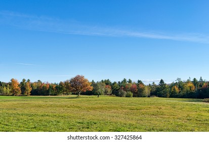 Wide View Of A Large Tract Of Land With Fall Turning Trees In The Background.