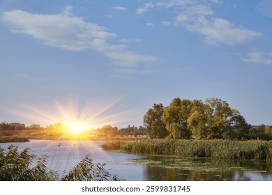 A wide view of the Oder River landscape, with trees, reeds, and a blue sky with scattered clouds.