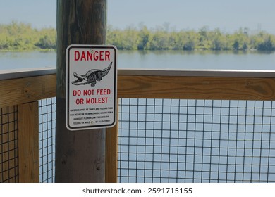 Wide view over Wood Observation Deck chain link fence of nature trail with blurred water in back. Red, White and black Sign on the left says Do Not Feed or Molest the Alligators.