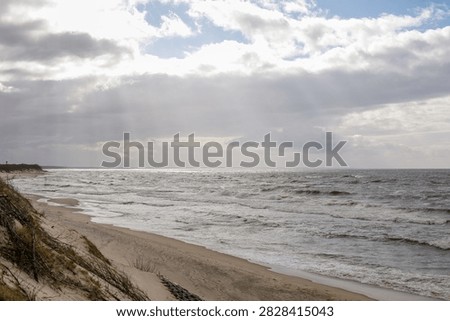 Wide view of sandy baltic beach and coastal dunes in kaliningrad region.