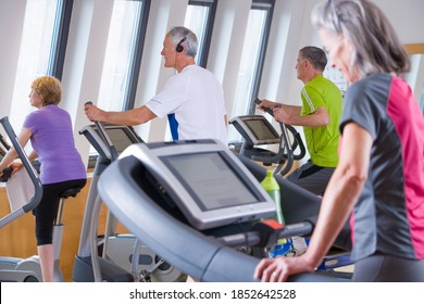 A Wide View Of Senior-adult Men And Women Working Out On Cross Training Machines In A Fully Equipped Gym