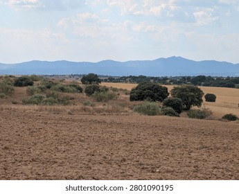 A wide view shows open fields and hills under a cloudy sky. Trees are scattered across the land with patches of grass and dirt. The setting appears rural and natural.