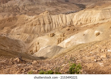 Wide View Of Steep Desert Mountains And Edged Cliffs, Vast Canyon Of And Winding River (Nahal Zin) With Fertile Vegetation. Hot Summer Morning In Midreshet Ben-Gurion, Negev, Israel