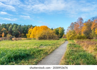 Wide Walking Path On A Sunny Autumn Day. Bright Landscape With Pathway In Perspective And Colorful Autumnal Trees. Swedish, Scandinavian Nature. Empty Way Leading Through A Meadow Ahead To The Forest.