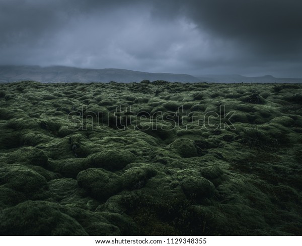 wide wild\
moss field in Iceland with a dramatic cloudy sky and mountains in\
the misty background with a moody atmosphere during a rainy day\
dwith a grey background and green\
foreground