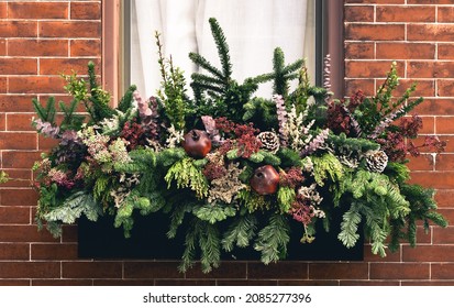 Wide window box arrangement filled with winter seasonal flowers and plants full window - Powered by Shutterstock