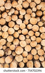 Wide-angle Abstract View On Stacked Or Piled Tree Trunks.