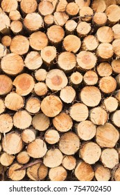 Wide-angle Abstract View On Stacked Or Piled Tree Trunks.