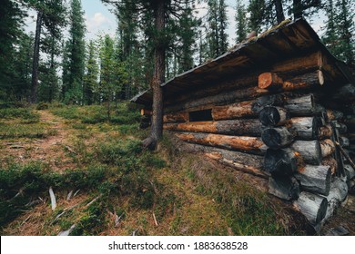 Wide-angle autumn shot in a deep conifer taiga forest of Sayan mountains of a dugout cabin as a shelter for hunters in winter made of large rough timber with a small pine-needle path on the left - Shutterstock ID 1883638528
