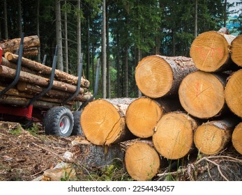 Wide-angle close-up view of a timber loading area in a forest in Bavaria.