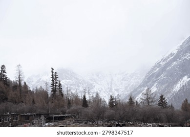 A wide-angle landscape looking over a rustic wooden village ranch where livestock graze in a pasture, bordered by a dense pine forest and backed by towering, snow-dusted granite mountains shrouded in fog.