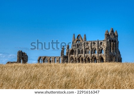 Wide-angle landscape view of the dramatic gothic ruins of Whitby Abbey standing proudly on the East Cliff over a field of golden summer grass, North Yorkshire, England. The photograph beautifully captures the skeletal sandstone remains of the 13th-century Benedictine abbey church framed against a brilliant, clear blue sky. Infamous for inspiring Bram Stoker's gothic horror novel Dracula, this iconic English Heritage site serves as a powerful symbol of British history, medieval architecture, and coastal mythology. Perfect for travel editorial, book covers, tourism media, and historical concepts.