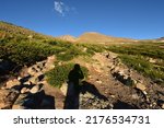Wide-angle landscape view of pristine alpine tundra at early morning sunrise - Rocky Mountain National Park, Colorado, USA