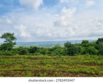 A wide-angle panoramic view of a lush green hillside landscape under a bright, partly cloudy sky.