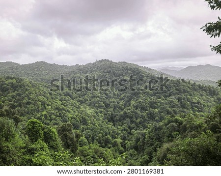 A wide-angle panoramic view of the rolling, dense green mountains of the Dominica rainforest. Under a cloudy, soft sky, the vibrant tropical foliage covers the rugged terrain, showcasing the untouched natural beauty and vast biodiversity of the Caribbean wilderness.
