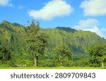 Wide-angle panoramic view showcasing the rugged Ko