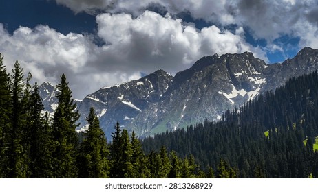 A wide-angle shot featuring a formidable, dark mountain range with patches of snow under a partly cloudy, dramatic blue sky. The lower half of the frame is dominated by a dense forest of tall, green pine trees that stretch across the valley floor and climb up the mountainside, contrasting the sharp alpine peaks with soft, lush vegetation.