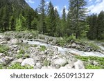 wide-angle shot from 
of the Kleinarler Ache rushing through a mountain forest in its rocky streambed
