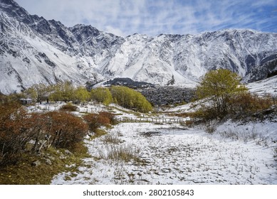 A wide-angle view captures the town of Stepantsminda, Georgia, situated in a valley, framed by prominent snow-covered Caucasus Mountains under a partly cloudy sky. The foreground features a partially snow-covered field with late autumn shrubs displaying russet and yellow foliage, leading towards the densely packed houses of the town.