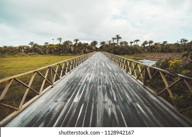 Wide-angle view of a long wet authentic wooden bridge over the meadow bog after the rain, with palms and other subtropical trees and plants in the background; Praia do Forte, Bahia state of Brazil