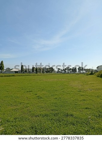 Wide-angle view of an open green grass field under a bright clear blue sky with distant trees and residential buildings on the horizon. The peaceful outdoor landscape creates a calm and natural atmosphere, ideal for themes related to nature, countryside, open space, environment, recreation, and urban outskirts. Perfect for background use, environmental concepts, and outdoor lifestyle visuals.