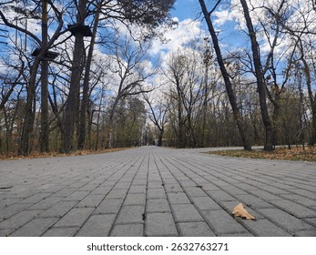 Wide-angle view of a paved path through a quiet forest with bare trees under a partly cloudy blue sky, captured in early spring or late autumn.