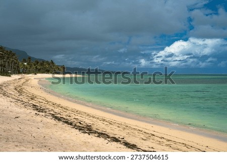 Wide-angle view of a pristine tropical beach in Mauritius, featuring soft golden sand, swaying palm trees, and calm turquoise waters under a dramatic cloudy sky. A serene Indian Ocean coastline perfect for travel, relaxation, and island getaway concepts.
