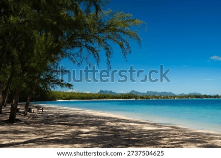 Wide-angle view of a pristine tropical beach in Mauritius, featuring soft golden sand, swaying palm trees, and calm turquoise waters under a dramatic cloudy sky. A serene Indian Ocean coastline perfect for travel, relaxation, and island getaway concepts.
