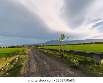A wide-angle view of a rustic dirt road cutting through vibrant green agricultural fields, with distant mountains under a cloudy, expansive sky, evoking a sense of peaceful rural travel and natural b.