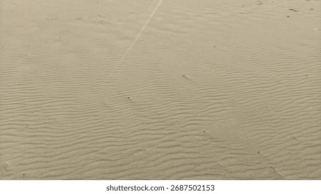 Wideangle View of Sandy Plain Featuring Ripples Footprints and Distant Vegetation