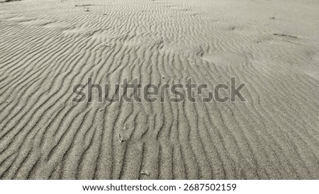 Wideangle View of Sandy Plain Featuring Ripples Footprints and Distant Vegetation