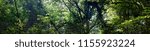 Wide-format panorama for an architectonic visualization. A panorama of the forest