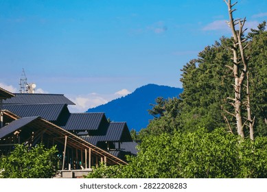 A wider variant of the same building, showing more roof sections and a dead tree beside a fuller cell tower, with distant blue mountains layered behind.