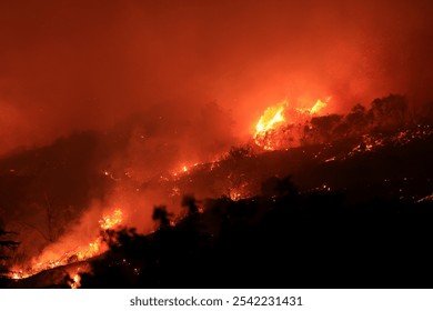  Wide-shot view of a ferocious wildfire spreading across a hillside, with intense flames engulfing the landscape. - Powered by Shutterstock