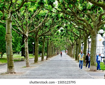 Wiesbaden, Germany - 2013: A Treed Promenade Of The Warmen Damm (Warm Pond) Park, Running Adjacent To Wilhelmstraße (Wilhelm Street) With Pedestrians And A Bike Rider. 