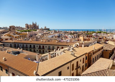 Wiew of Palma de Mallorca from the roof of one of the houses of the seaside town. In the distance you can see the Cathedral of Santa Maria in the background of the azure sea.

