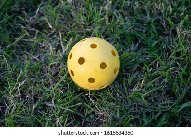 Wiffle Ball Sitting On Grassy Ground