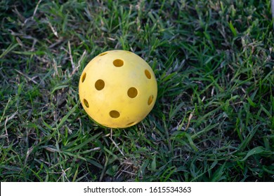 Wiffle Ball Sitting On Grassy Ground