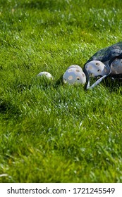 Wiffle Ball A Sure Sign Of Spring