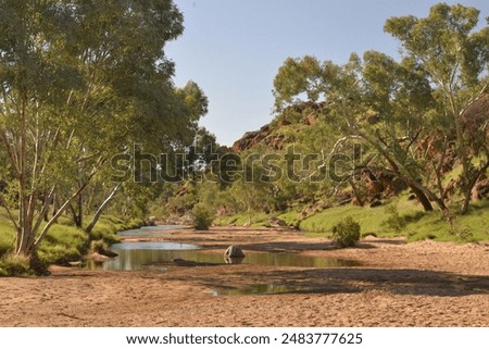 Wigley Water Hole, a picturesque day picnic area with access by mountain bike track and vehicle on the outskirts of Alice Springs Central Australia