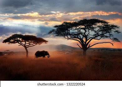 Wild African elephant in the savannah. Serengeti National Park. Wildlife of Tanzania. African landscape.