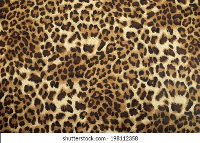 cheetah print photography