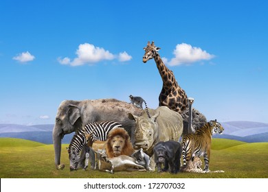 9,564 Wild Animal Collage Images, Stock Photos & Vectors | Shutterstock