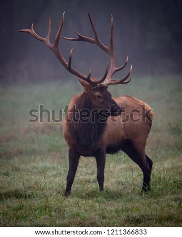 Image, Stock Photo recently in Canada