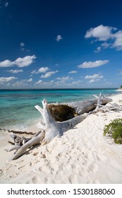 Wild Beach In Catalina Island, Dominican Republic