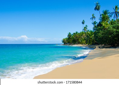 Wild Beach Costa Rica