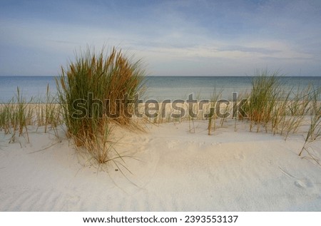 Image, Stock Photo Dune with sea view Freedom