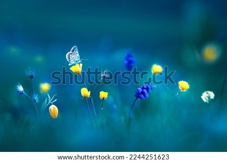 Wild beautiful yellow flowers and blue butterfly. Summer spring background.  